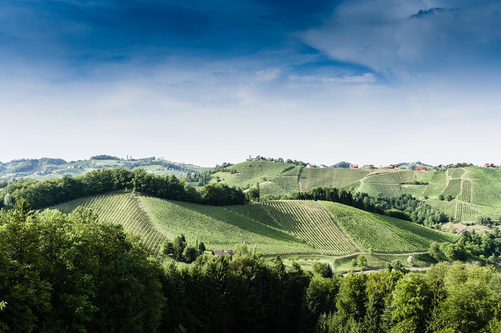 Weingut- Gaestezimmer Marko Leutschach Exterior photo