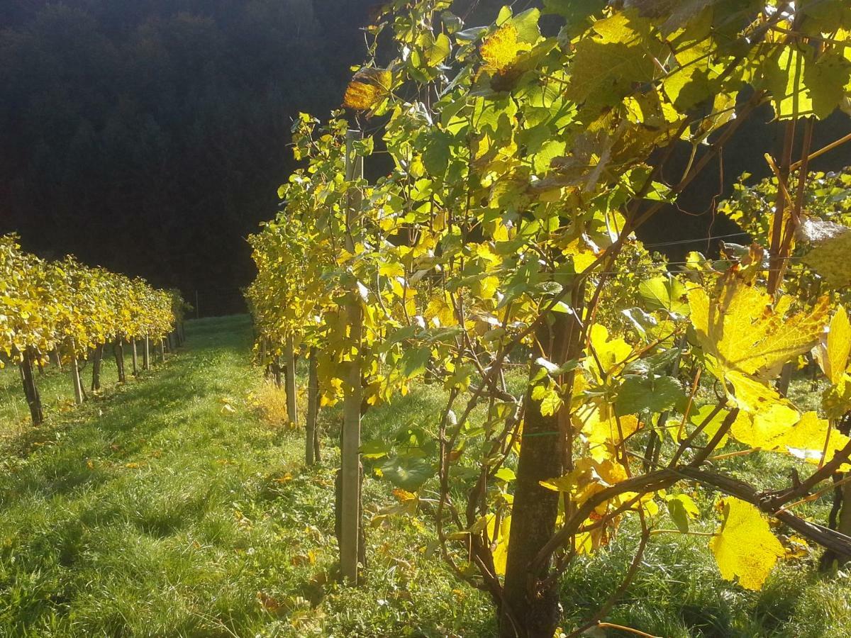 Weingut- Gaestezimmer Marko Leutschach Exterior photo